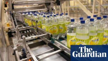 Britvic’s £3.3bn takeover by Carlsberg gets go-ahead, raising fears of job losses