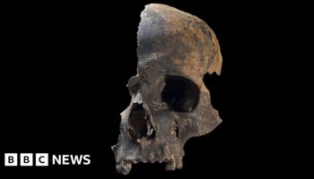 Bronze Age massacre victims likely cannibalised