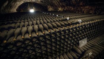 «Ces magnums sont un trésor unique»: dans les petits et les grands secrets du champagne Bollinger