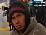 Chilling video shows NYC subway migrant 'killer' watching as woman he set on fire burns alive and cops walk past