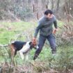 Des chiens de chasse à courre font irruption... chez Yann Arthus-Bertrand : le photographe a déposé plainte