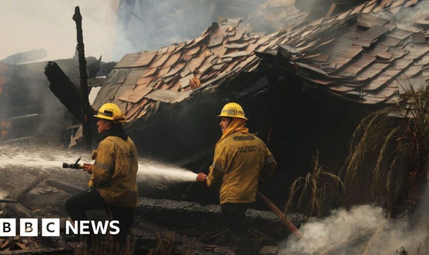 Dick Van Dyke and Cher among thousands fleeing Malibu wildfire