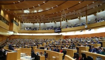 El Senado prohibe exhibir propaganda política después de que un senador colgara carteles sobre el aborto