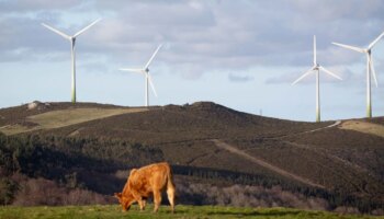 El año de la oposición a proyectos industriales y del parón eólico