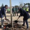 El nuevo parque de la Arruzafilla estará listo en abril y sumará diez hectáreas más de zonas verdes a Córdoba