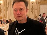 Elon Musk is 'renting' $2,000 a night Mar-a-Lago cottage so he can spend hours every day with Donald Trump