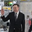 Elon Musk mischt sich schon jetzt ein - in Deutschland, Italien, Großbritannien