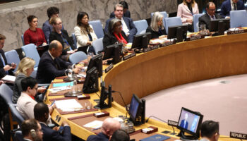 En direct : le Conseil de sécurité de l'ONU appelle à un processus politique "inclusif"