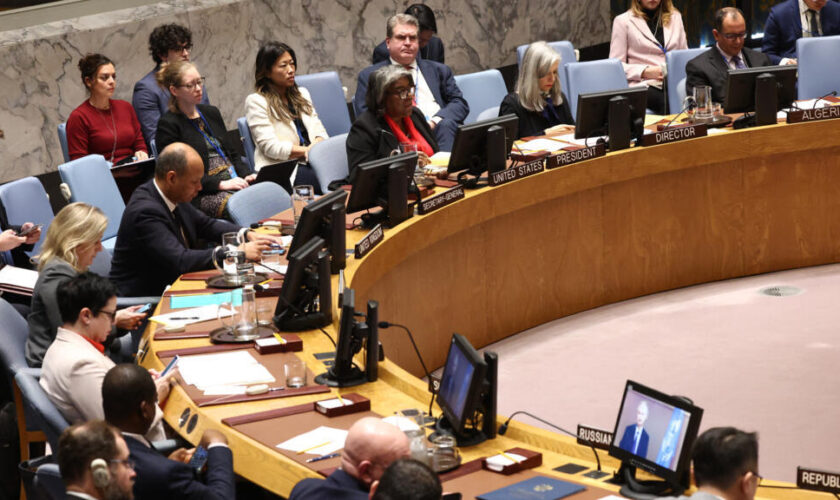 En direct : le Conseil de sécurité de l'ONU appelle à un processus politique "inclusif"