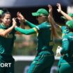 South Africa players celebrate a wicket