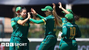 South Africa players celebrate a wicket