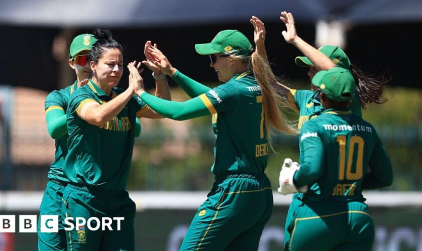 South Africa players celebrate a wicket