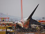 Experts reveal the 'almost criminal' error that 'caused so many to die in fiery South Korea plane crash' - and the puzzling signs about what triggered the disaster that killed 179