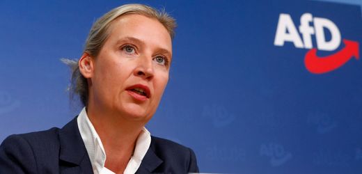 Extreme Rechte: Die Strategie der AfD - Wie das »Kanzlerkandidaten«-Label genutzt wird