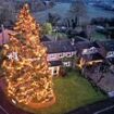 From tiny tree to tourist attraction: OAP couple celebrating the Christmas fir they planted 46 years ago raising £25,000 for charity - and towering over their home at 50ft