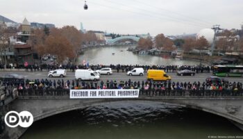 Georgia: Pro-EU protesters, president form human chain