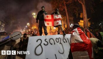 Georgia's PM hits back as protests and resignations intensify