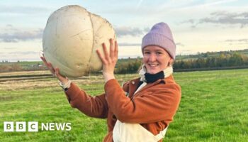 Giant 5kg mushroom feeds family for a week