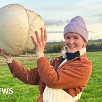 Giant 5kg mushroom feeds family for a week