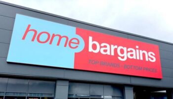 Home Bargains shoppers love £8 festive item - but Amazon 'makes it better'