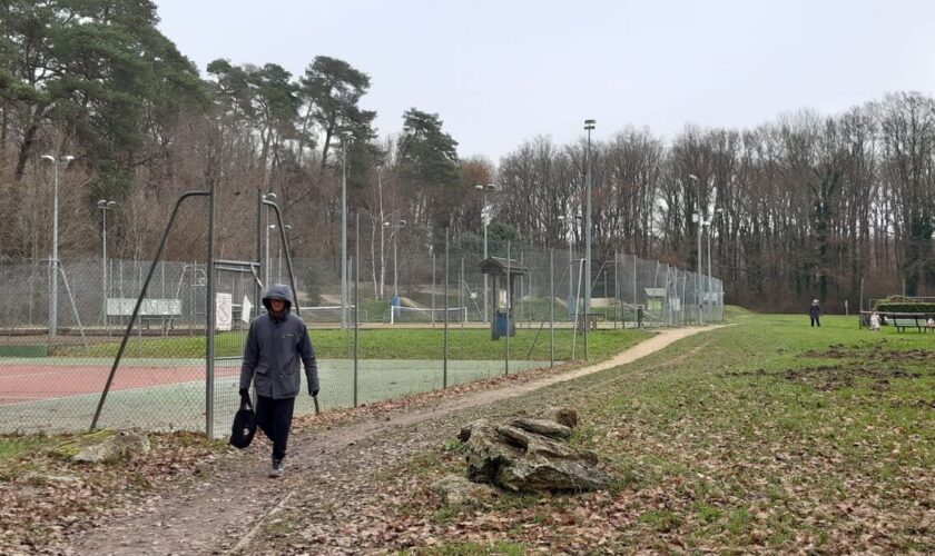 Implantation des antennes-relais : dans les Yvelines, la sécurité opposée au cadre de vie du village