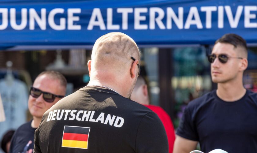 Junge Alternative in der Kritik: Zu radikal? AfD-Spitze plant neue Jugendorganisation