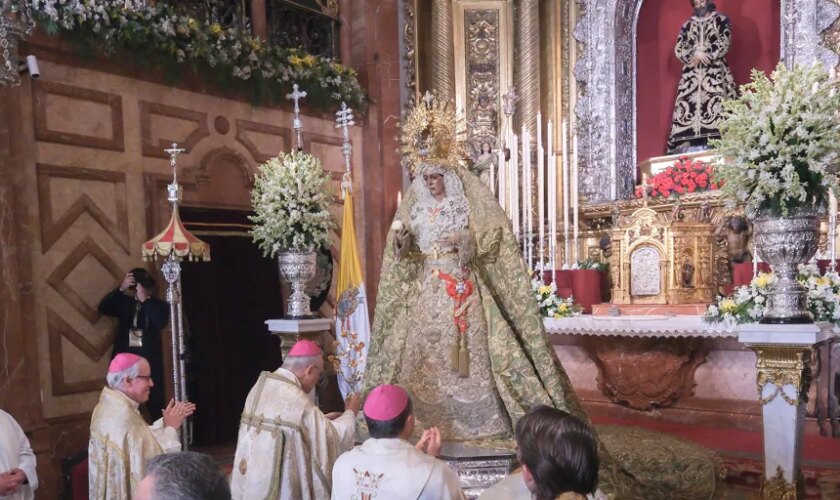 La imagen. El año de la rosa