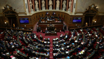 La "loi spéciale" pour pallier l'absence de budget pour 2025 promulguée