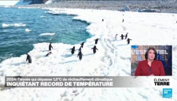 L'année 2024 sera la première à dépasser  1,5°C de réchauffement planétaire