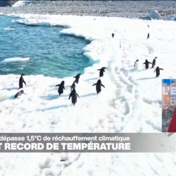 L'année 2024 sera la première à dépasser  1,5°C de réchauffement planétaire