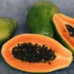 Las semillas de la papaya son comestibles y protegen el corazón: así se deben consumir