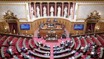 Le Parlement adopte définitivement la "loi spéciale" pour pallier l'absence de budget pour 2025