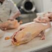 Le foie gras, prochaine victime du dérèglement climatique?