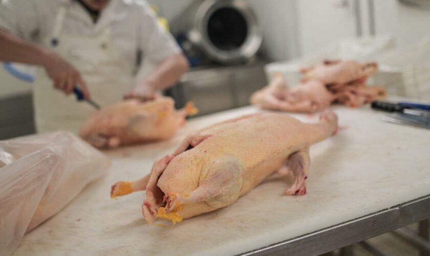 Le foie gras, prochaine victime du dérèglement climatique?