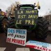 Les agriculteurs veulent « durcir » leurs actions : à quoi s’attendre avec les nouvelles mobilisations prévues ce lundi et mardi ?