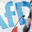 Liveticker: Krah kandidiert für die AfD in Sachsen