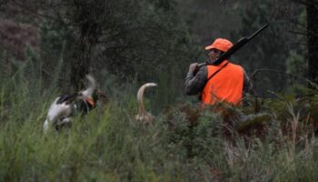 Muere un cazador de 36 años en San Lorenzo de Calatrava