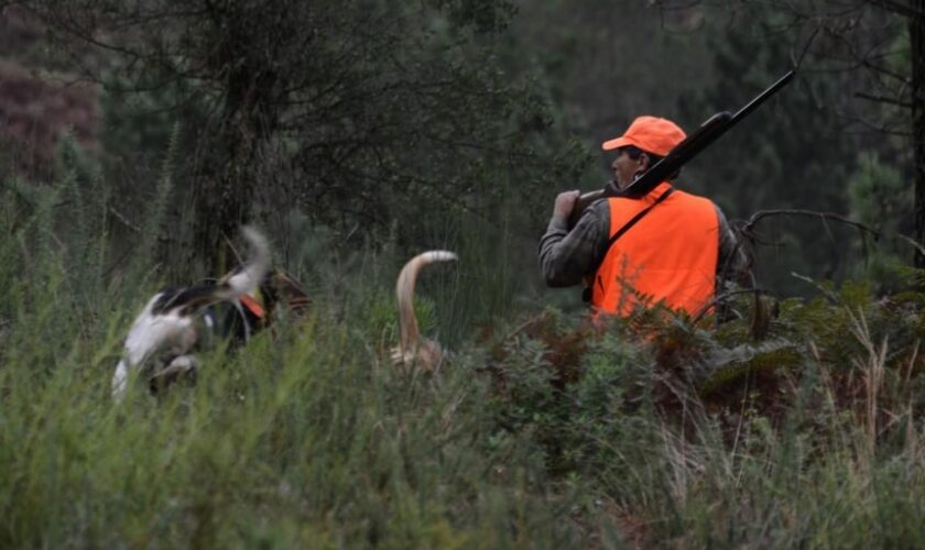 Muere un cazador de 36 años en San Lorenzo de Calatrava