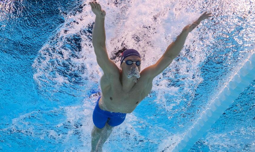 Natation : Léon Marchand boucle son année 2024 par une dernière victoire au meeting de La Réunion