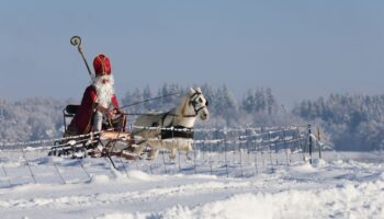 Viele stellen sich ideale Weihnachten so vor: Drinnen leuchtet der Baum, draußen türmt sich der Schnee. (Archivbild) Foto: Thoma