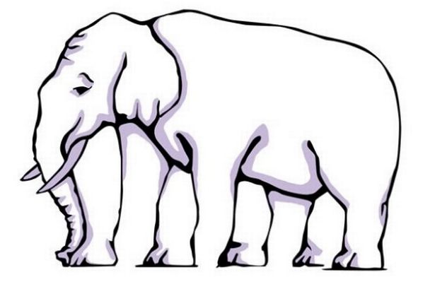 Nobody can work out where elephant's legs are in optical illusion for kids