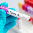 Norovirus symptoms to watch out for as families issued urgent 'stay indoors' warning