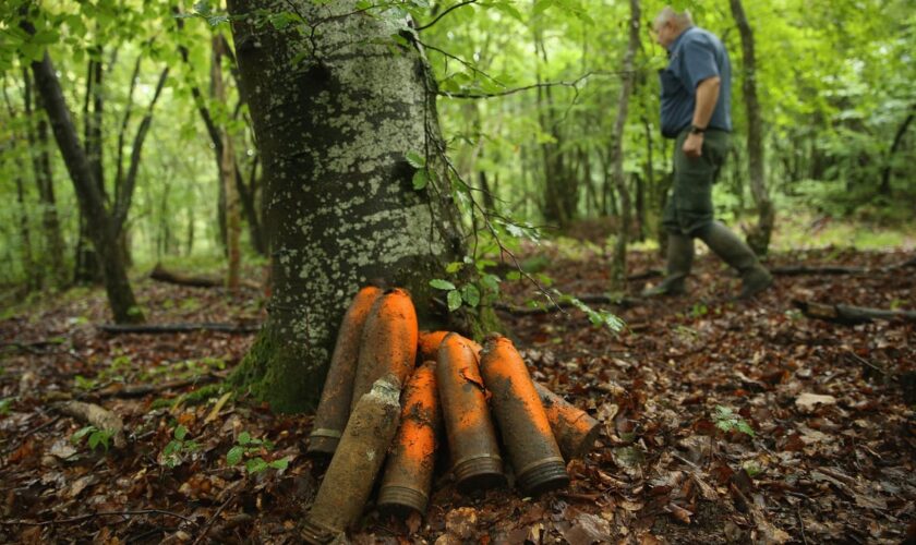 Obus, pollution et «zone rouge»: à Verdun, la nature porte encore les stigmates de la Grande Guerre