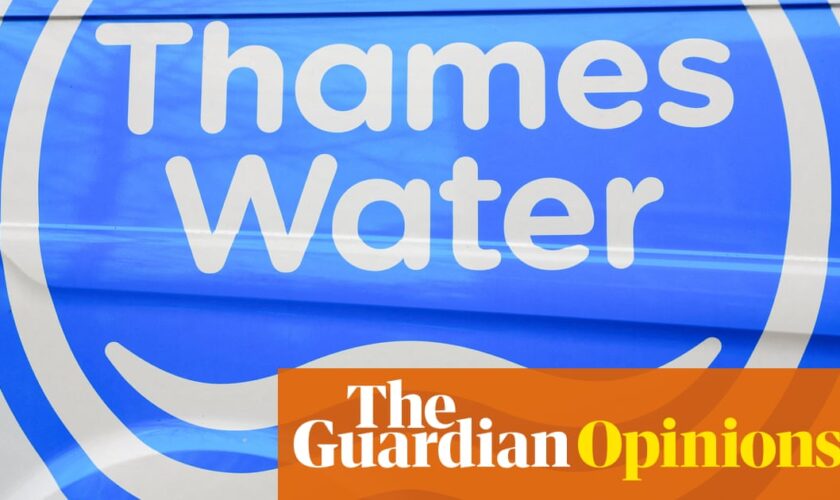 Ofwat opts for expediency. It’s time for water companies to stop bleating | Nils Pratley