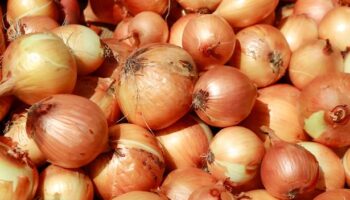 Onions can last for months without going off if kept away from one kitchen item