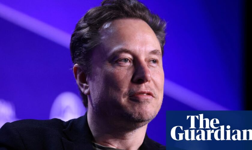 Outrage as Elon Musk claims ‘only AfD can save Germany’