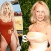 Pamela Anderson's bare-faced shtick is an ugly lie... I know this desperate Double D-lister's real beauty secrets, writes PAULA FROELICH