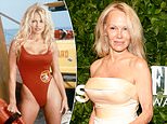 Pamela Anderson's bare-faced shtick is an ugly lie... I know this desperate Double D-lister's real beauty secrets, writes PAULA FROELICH