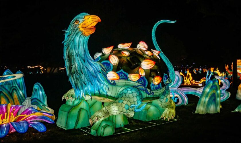 Parc de Thoiry, Jardin des plantes... Les petits secrets des lanternes géantes chinoises qui ont conquis la France