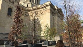 Paris : inquiétude autour des arbres en pot du Panthéon